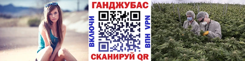 Где купить Ершов Конопля  КОКАИН  A-PVP  Меф мяу мяу 