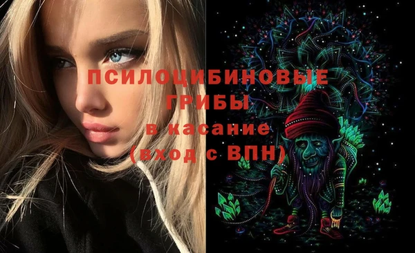 стафф Белокуриха
