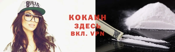 индика Белоозёрский