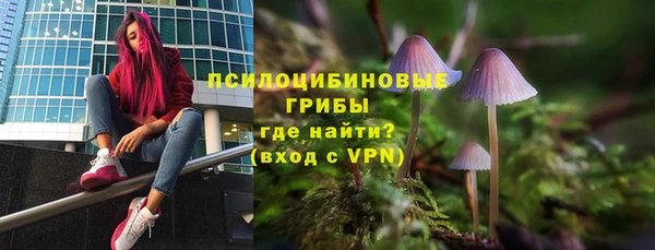 стафф Белокуриха