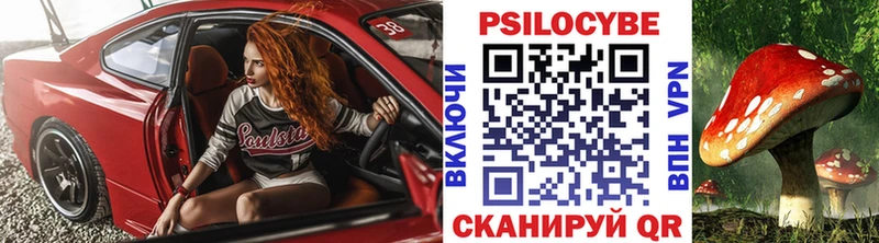 shop какой сайт  Ершов  Псилоцибиновые грибы мицелий 